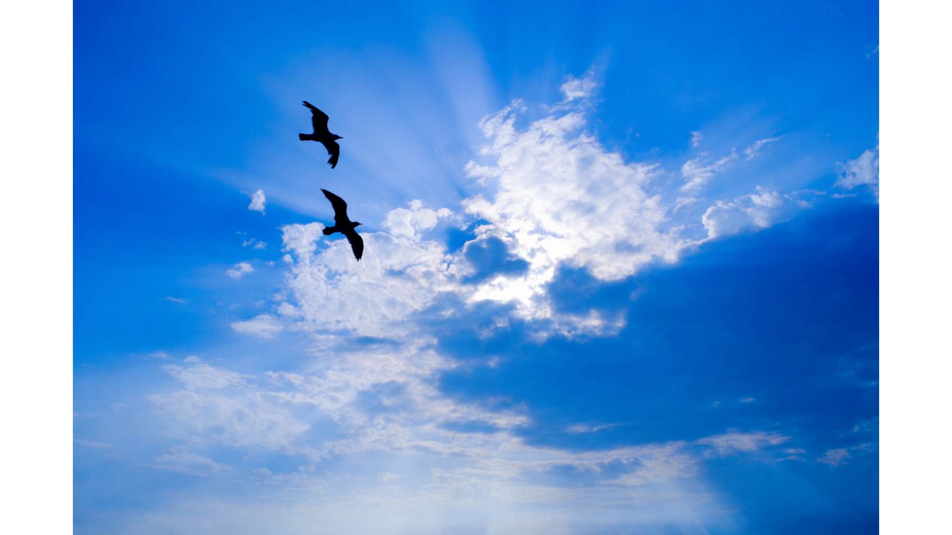 I Never Promised to Love My Wife. Or, All About Oaths.